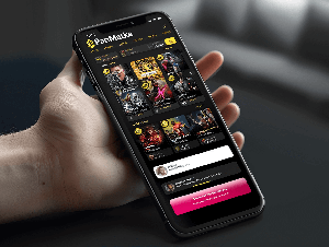 Виды бонусов в Playfortuna казино